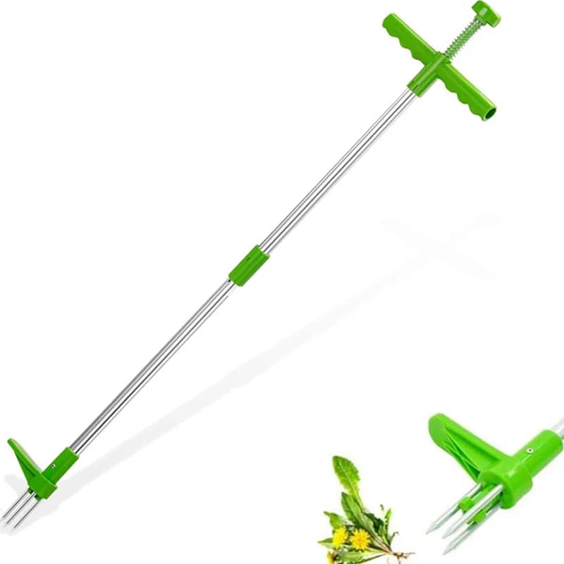 Ferramenta de jardim extrator de ervas daninhas com alça longa verde e corpo em aço inox