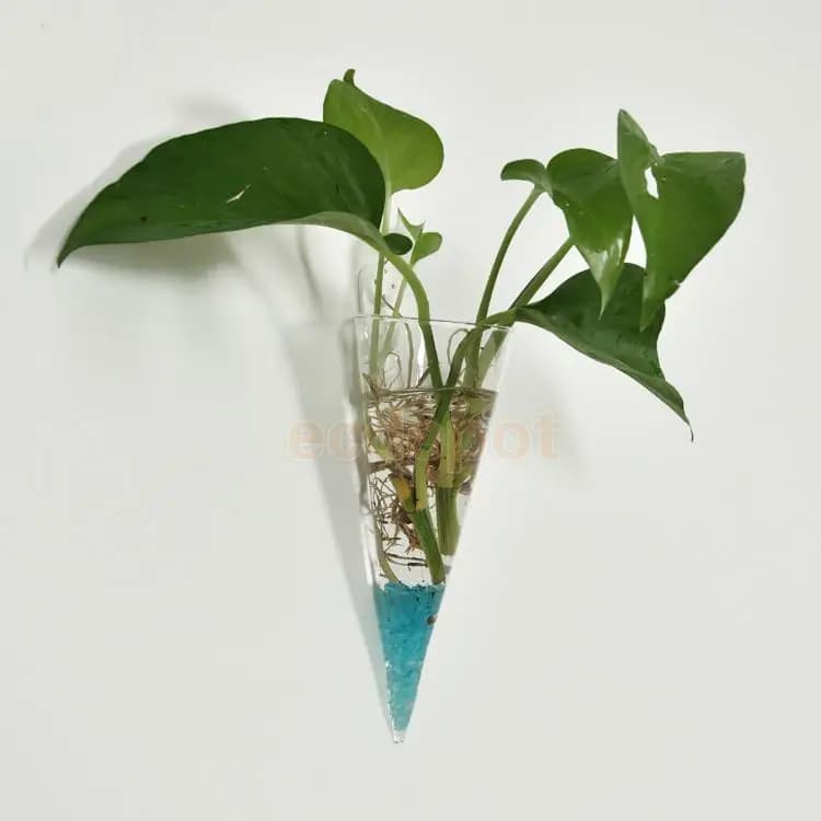 Vaso de parede transparente com planta verde pendente e água azul