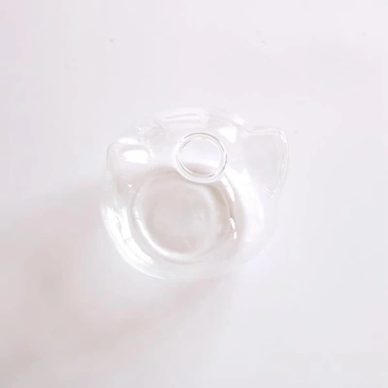 Vaso hidropônico de vidro transparente em formato de cabeça de gato visto de cima