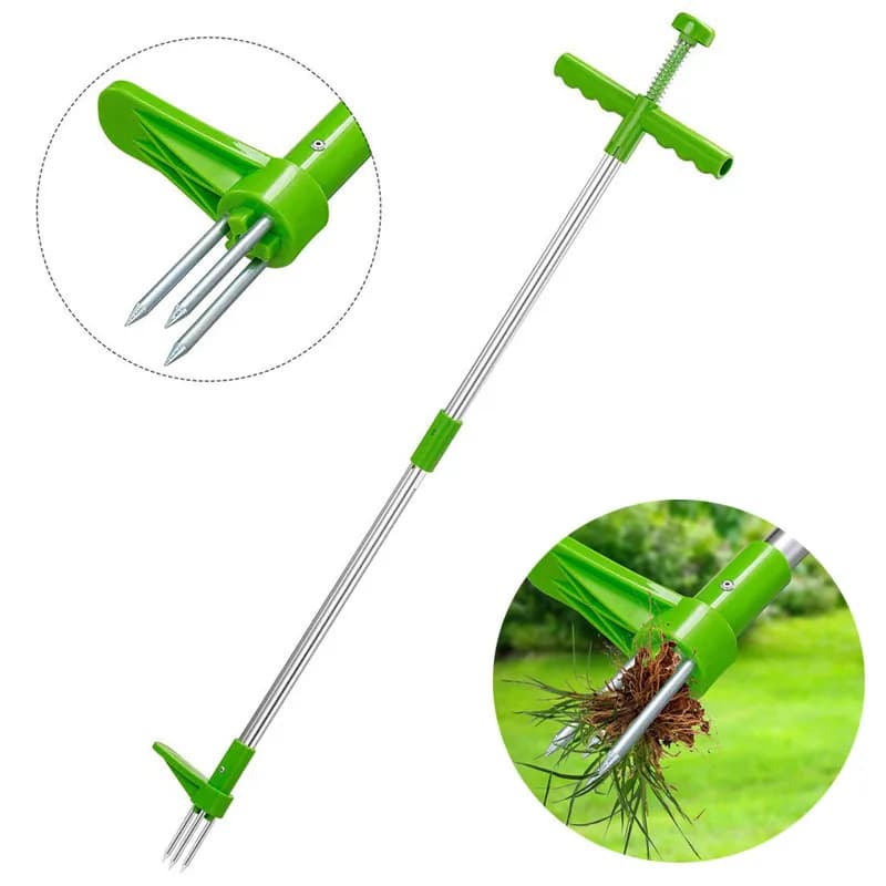 Ferramenta de remoção de ervas daninhas portátil com alça longa e pontas de metal, verde e aço inoxidável.