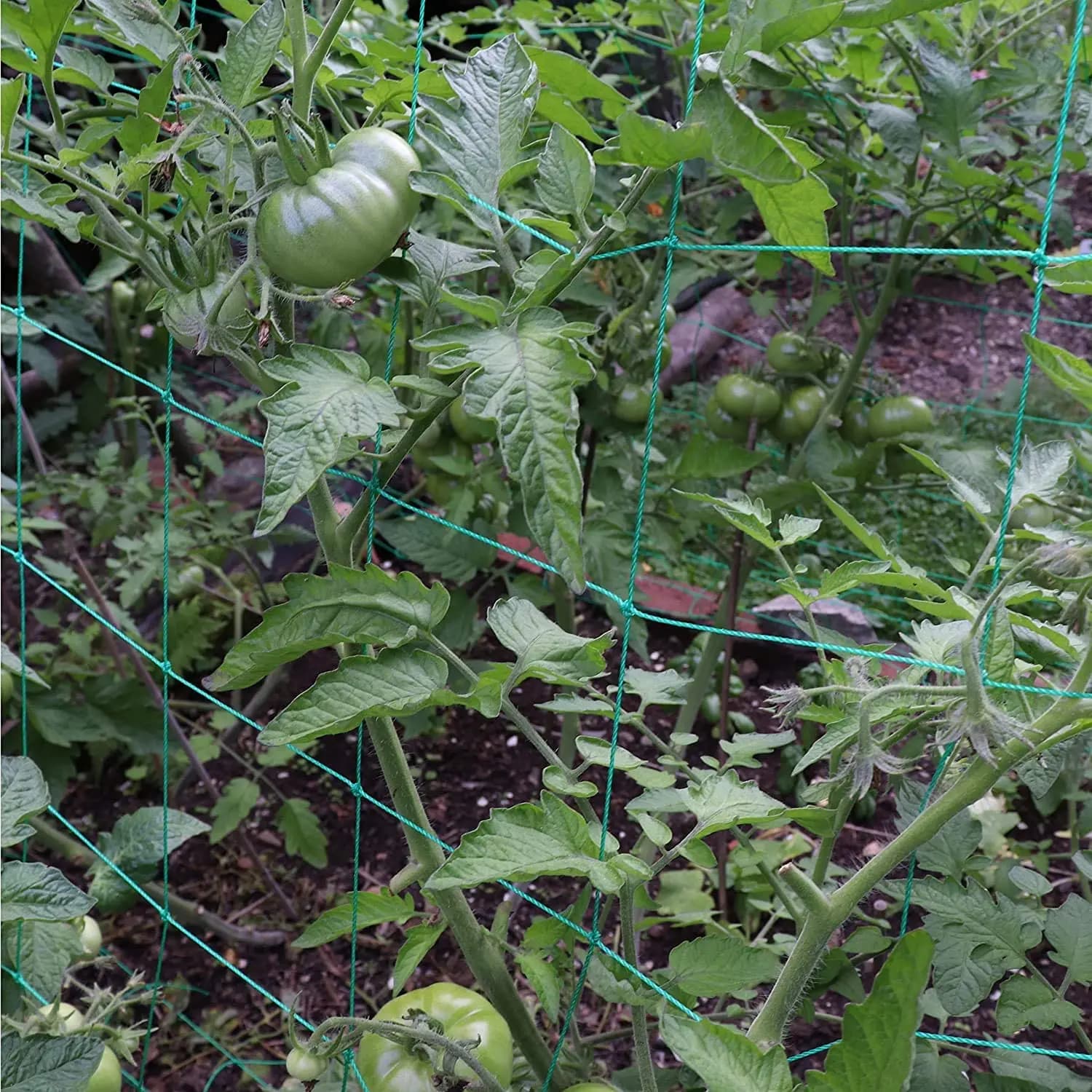 Rede de escalada verde para plantas, suporte para tomates em jardim com malha 10x10cm