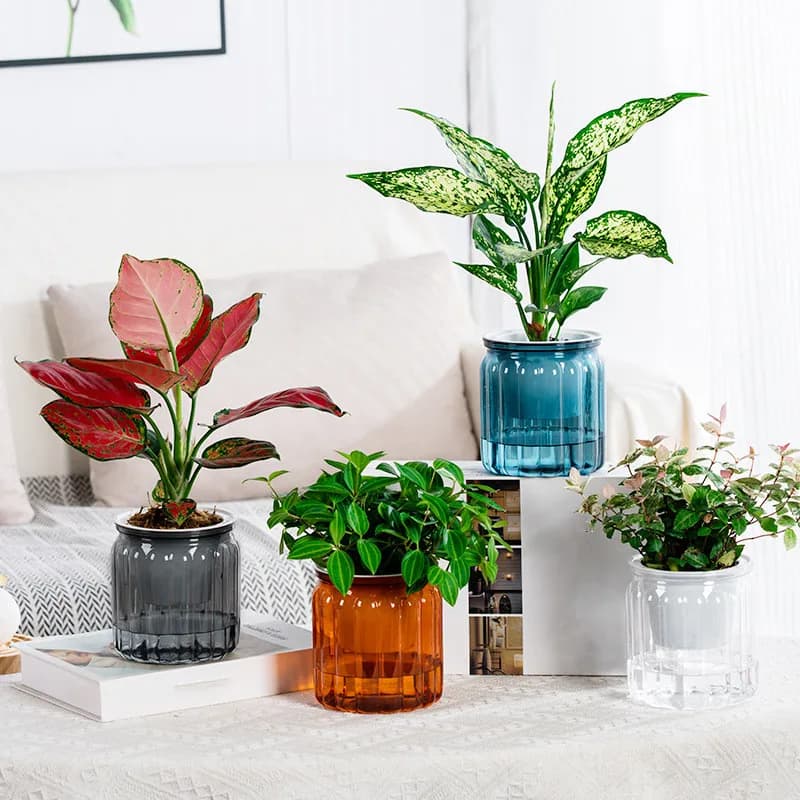Vaso de flores de plástico suculenta planta pote auto rega plantador vasos casa mesa vaso de flores casa bonsai decoração moderna
