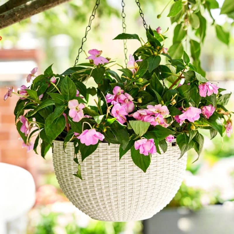 Cesto Suspenso para Plantas Internas, Estilo Simples, Padrão Favo de Mel, Imitação de Rattan, Vaso de Plástico Suspenso para Pothos