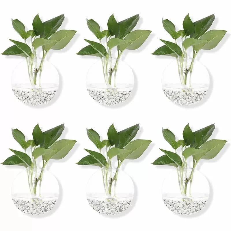 Kit com quatro vasos de vidro transparente para pendurar na parede com plantas verdes.