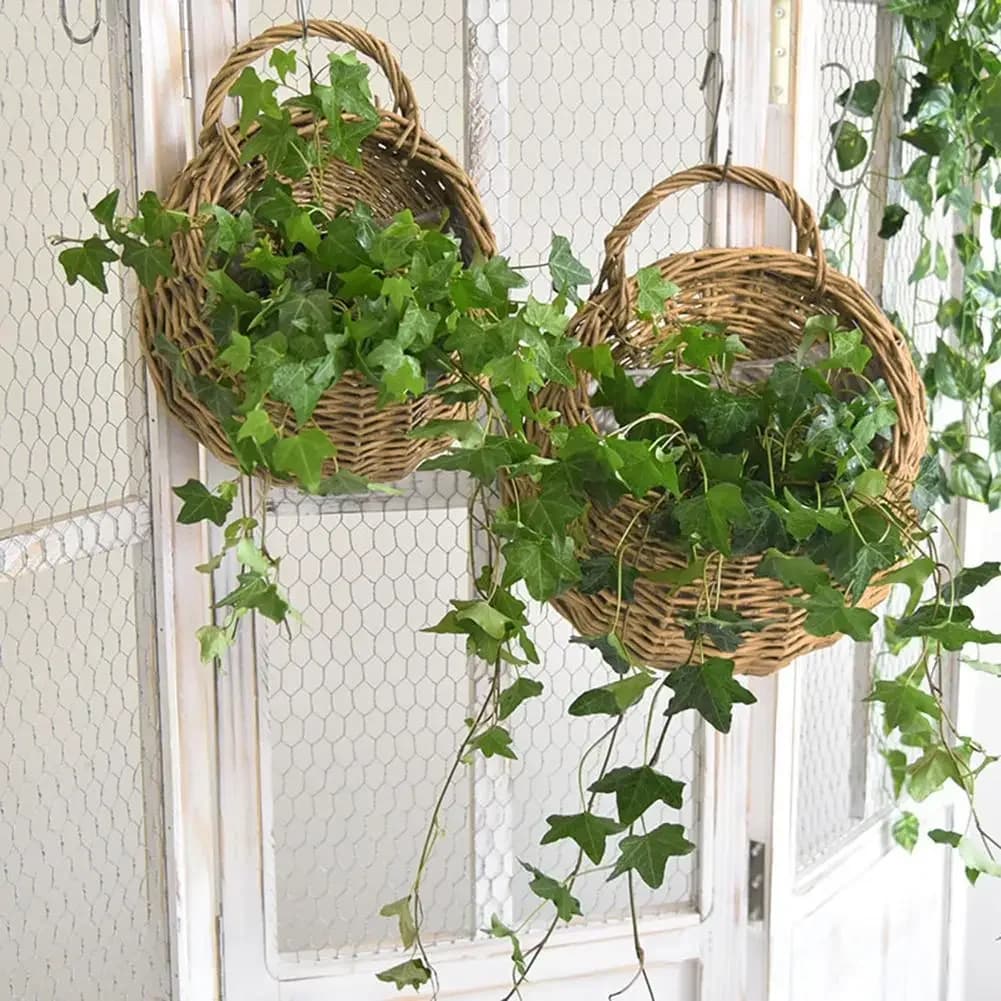 Cestas de vime suspensas com plantas de hera pendentes