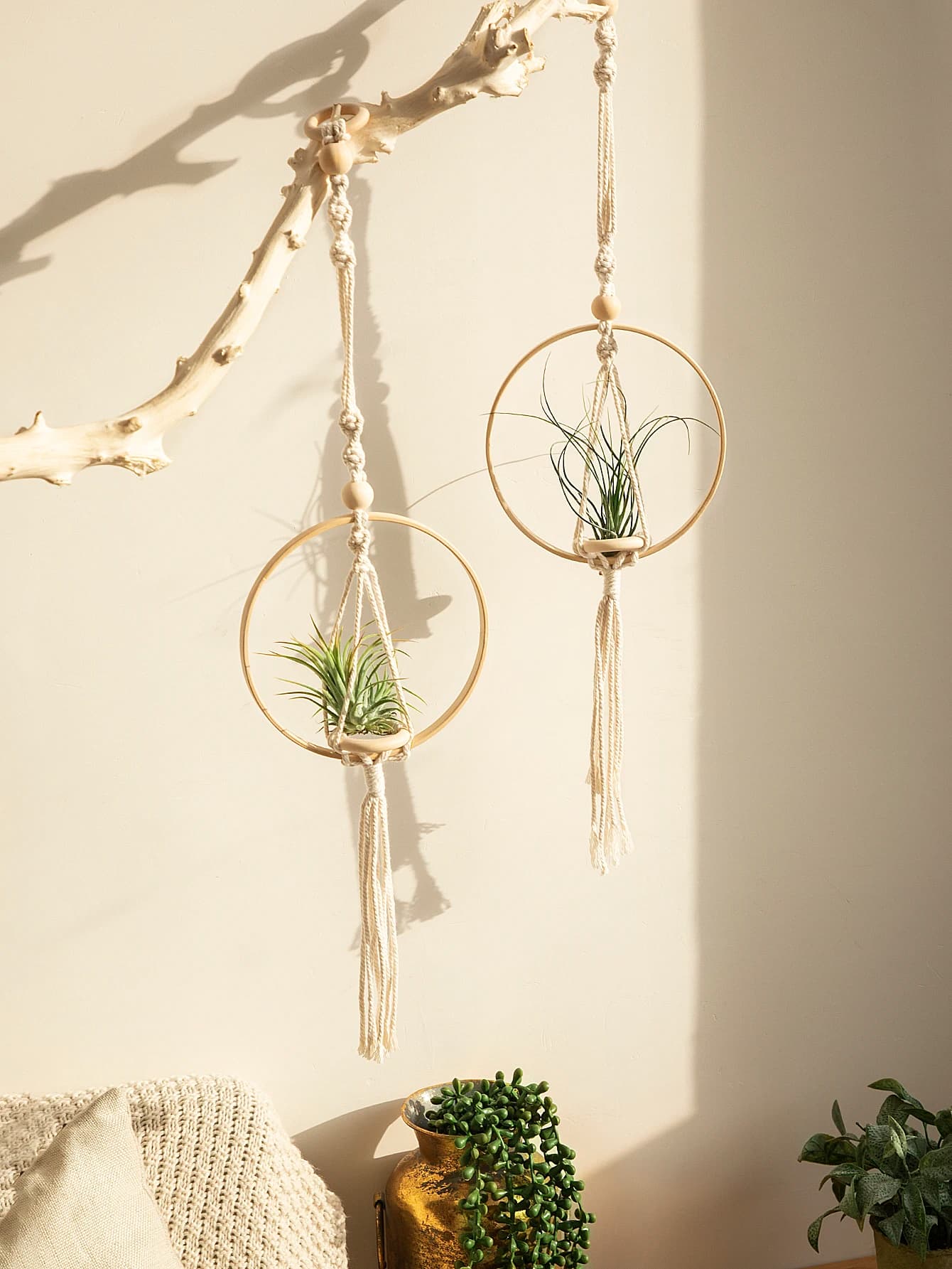 Penduradores de macramé com plantas suspensas em círculos de tecido