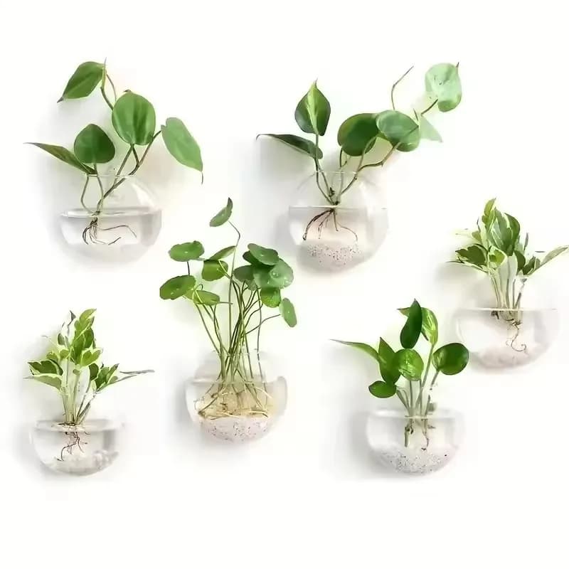 Kit completo de 6 terrários de vidro de parede autoirrigáveis com plantas verdes variadas