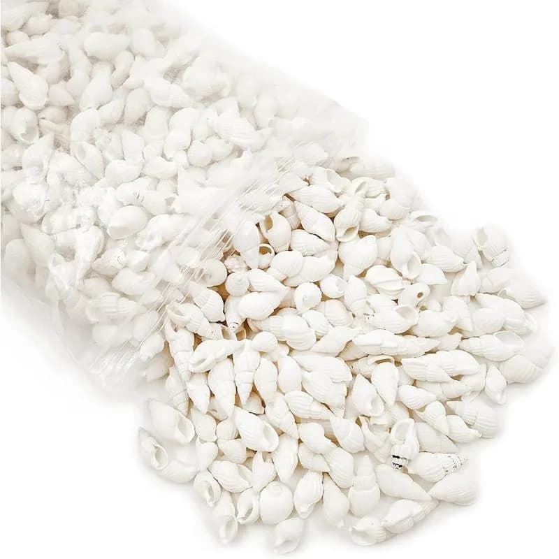 Conchas de molusco brancas em forma espiral para decoração e artesanato