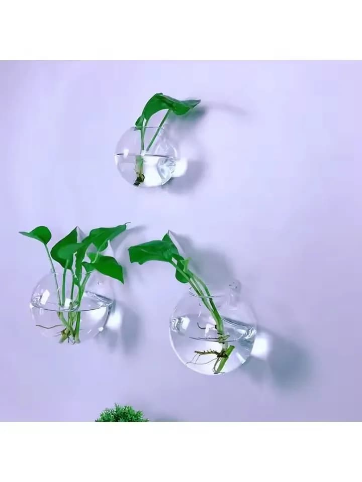 Kit de 3 terrários de vidro de parede hidropônicos autoirrigáveis com plantas verdes