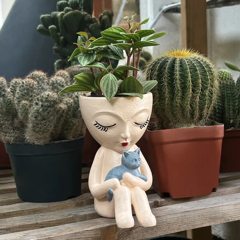 Decoração de jardim de garota sentada segurando um gato com planta verde
