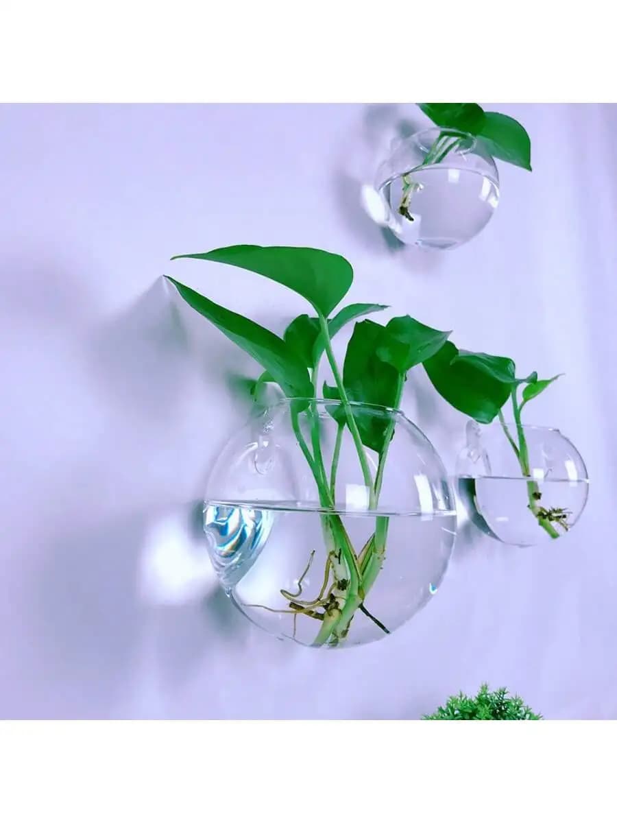 Terrário de vidro para parede com plantas verdes hidropônicas e sistema de rega automática