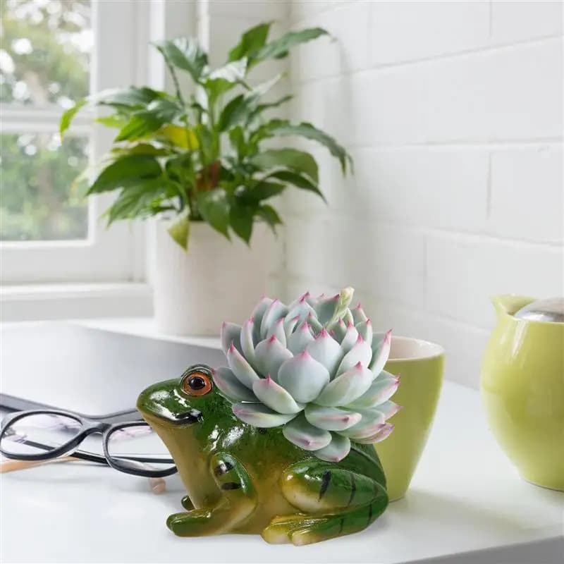 Vaso decorativo verde em cerâmica modelo sapo com suculenta branca e rosa para decoração