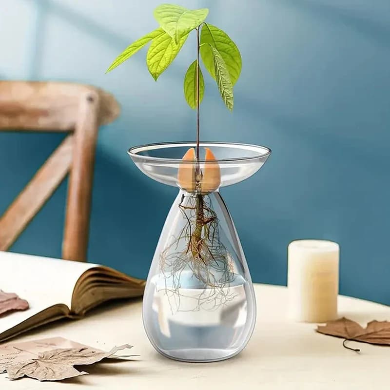 Vaso plantador hidropônico transparente com muda de planta e raízes visíveis em vidro