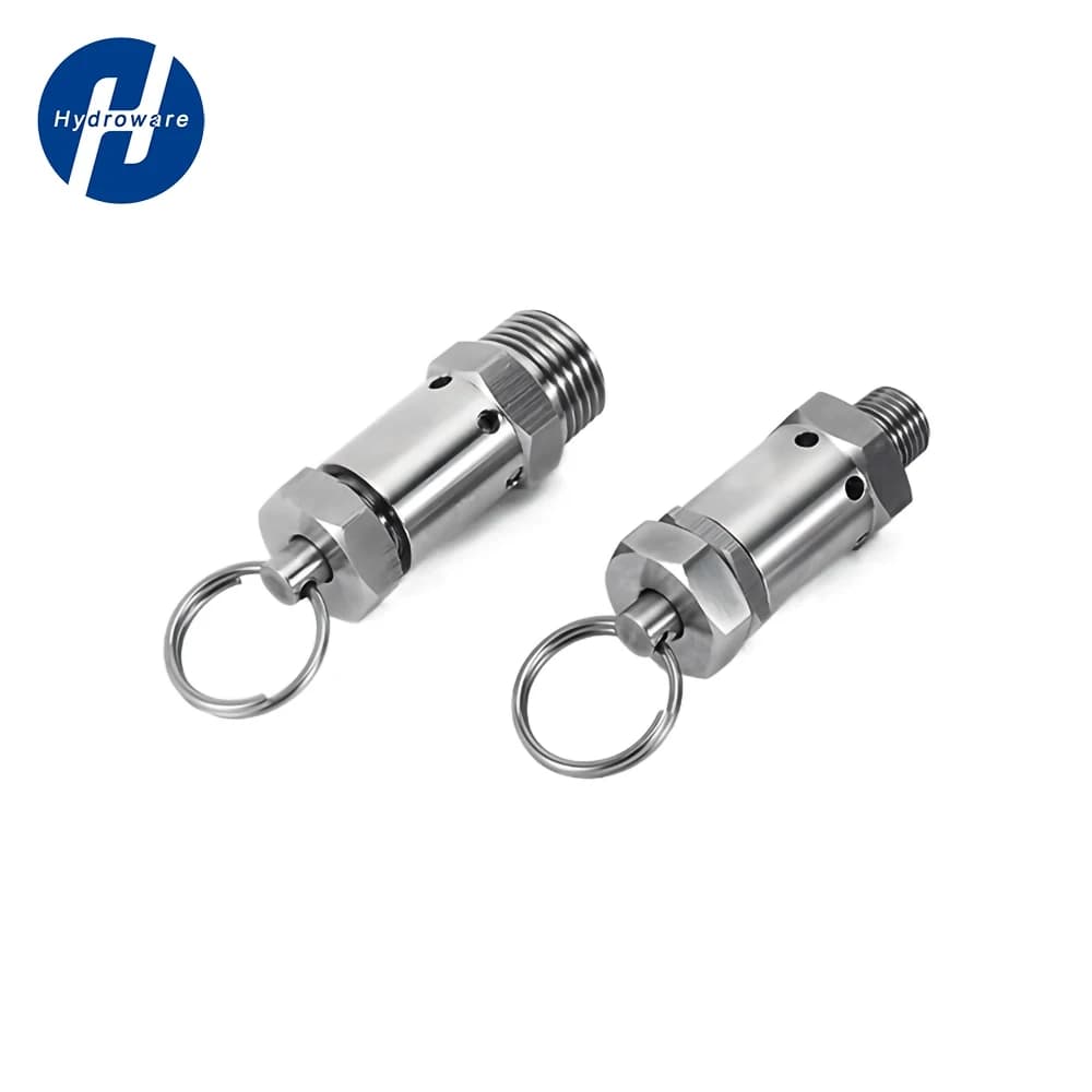 Válvulas de alívio de pressão ajustáveis em aço inoxidável para compressor de ar e cerveja artesanal