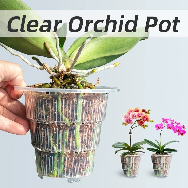 Vasos plásticos claros da orquídea com furos e pires, potenciômetro transparente para reparar plantadores pequenos da orquídea