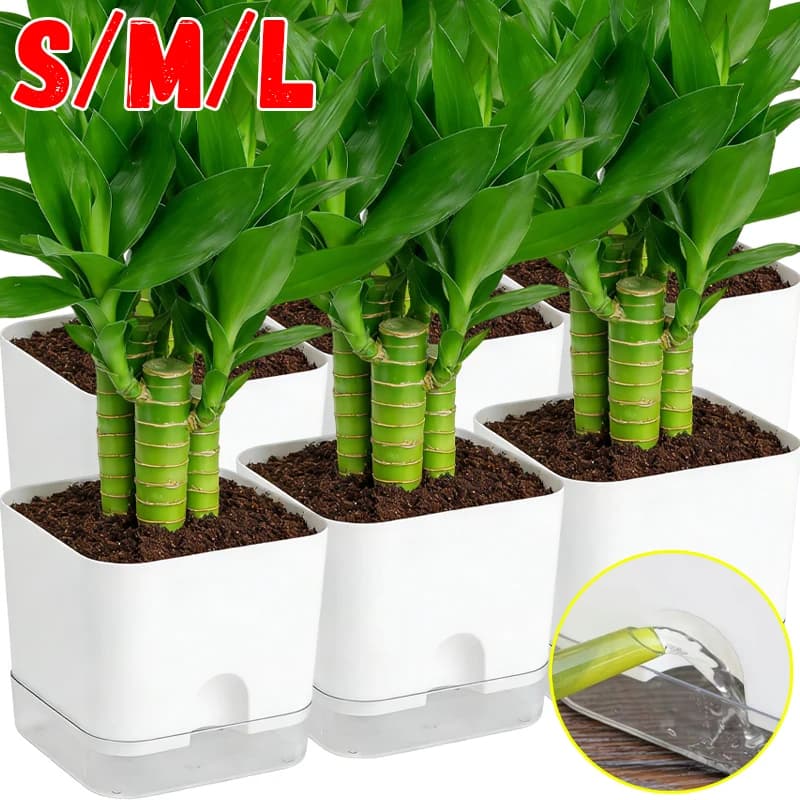 Vasos autoirrigáveis de plástico com plantas suculentas, tamanhos S, M e L