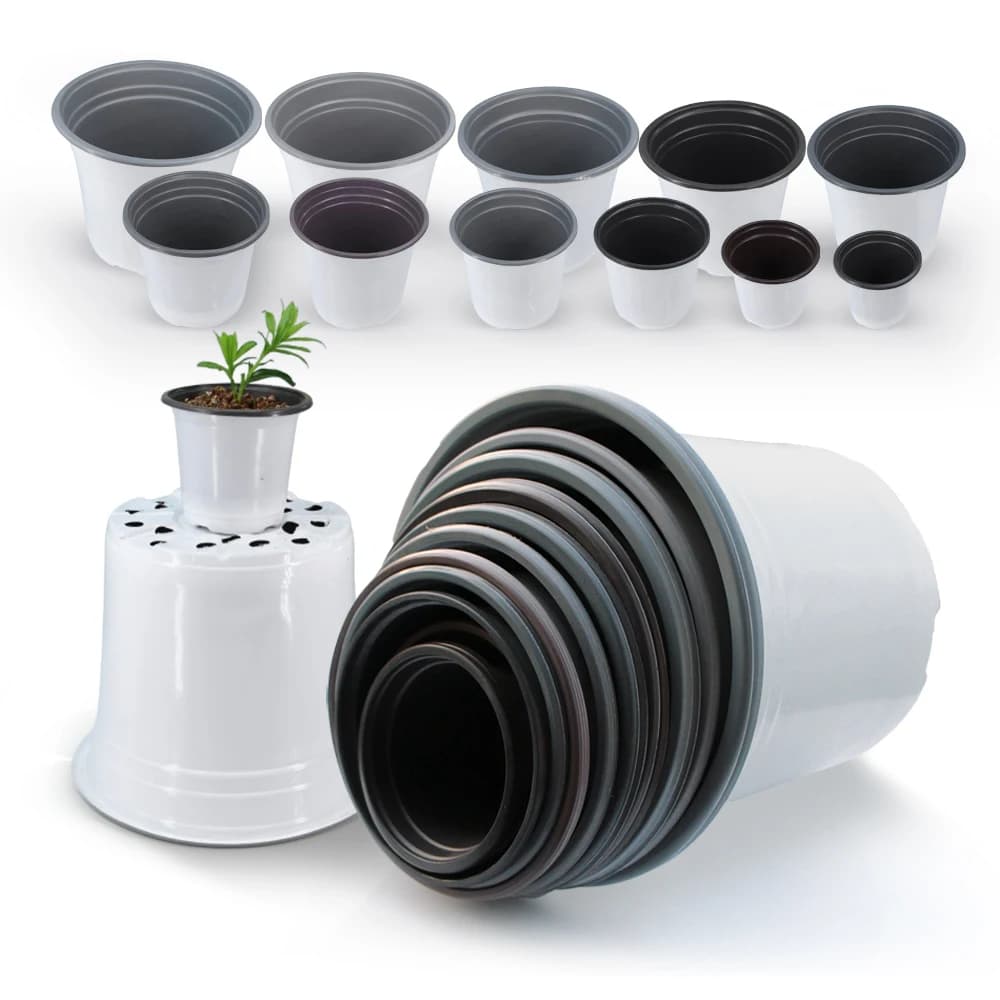 Vasos de plástico brancos e pretos para cultivo de plantas suculentas