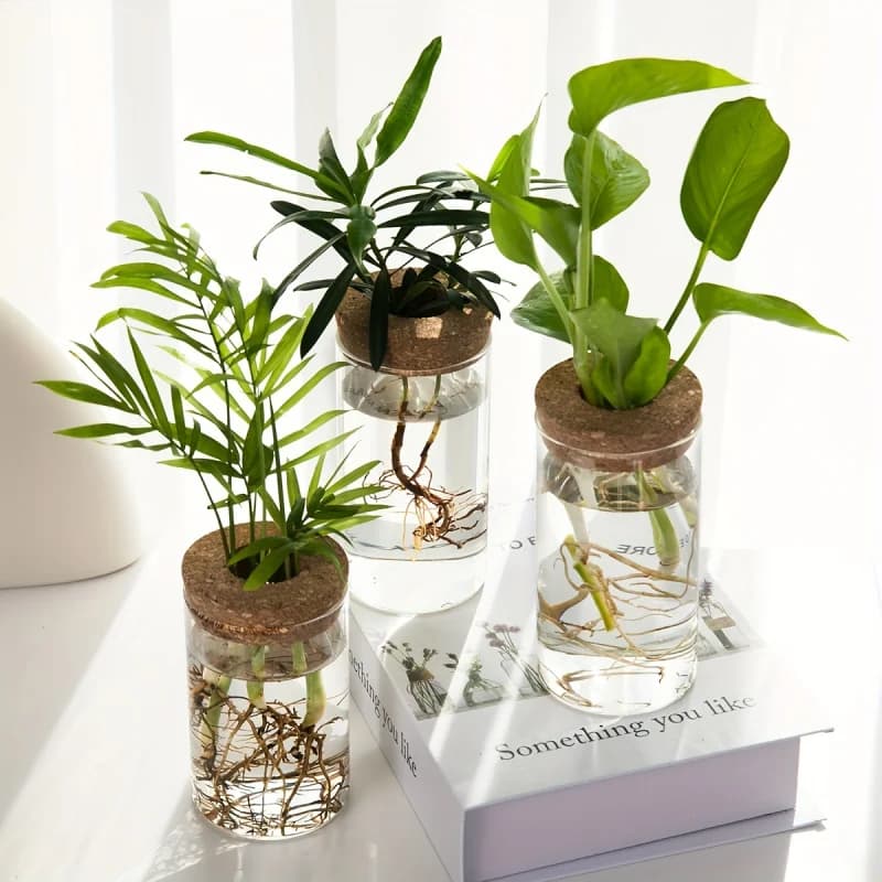 Conjunto de vasos de vidro hidropônico decorativos transparentes com plantas verdes e tampas de cortiça para mesa