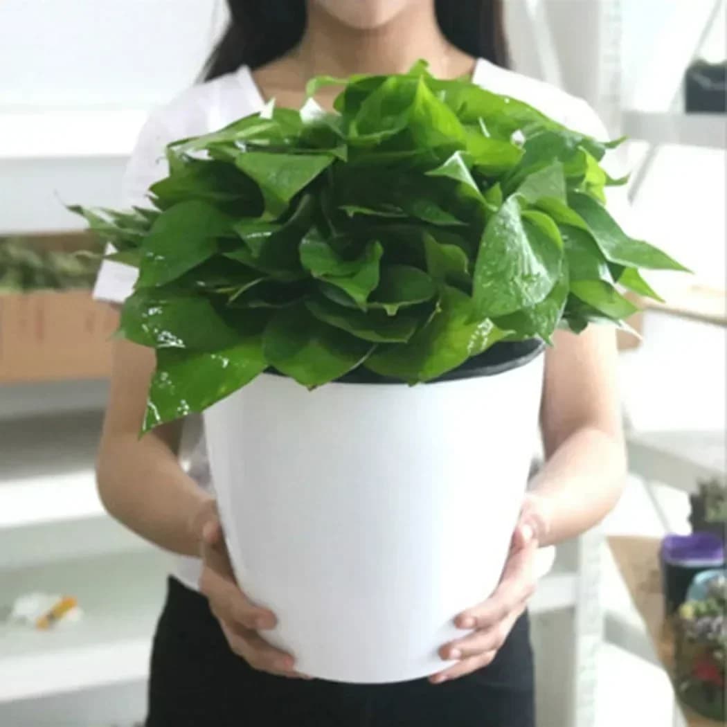 1pc preguiçoso vaso de flores hidropônico absorvente de água vaso de flores de plástico auto rega plantadores decoração da sala de estar