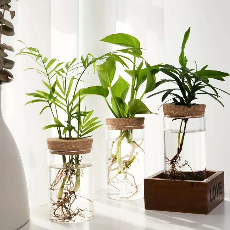 Vasos de vidro hidropônico transparentes com tampa de cortiça e plantas verdes para decoração de mesa e escritório