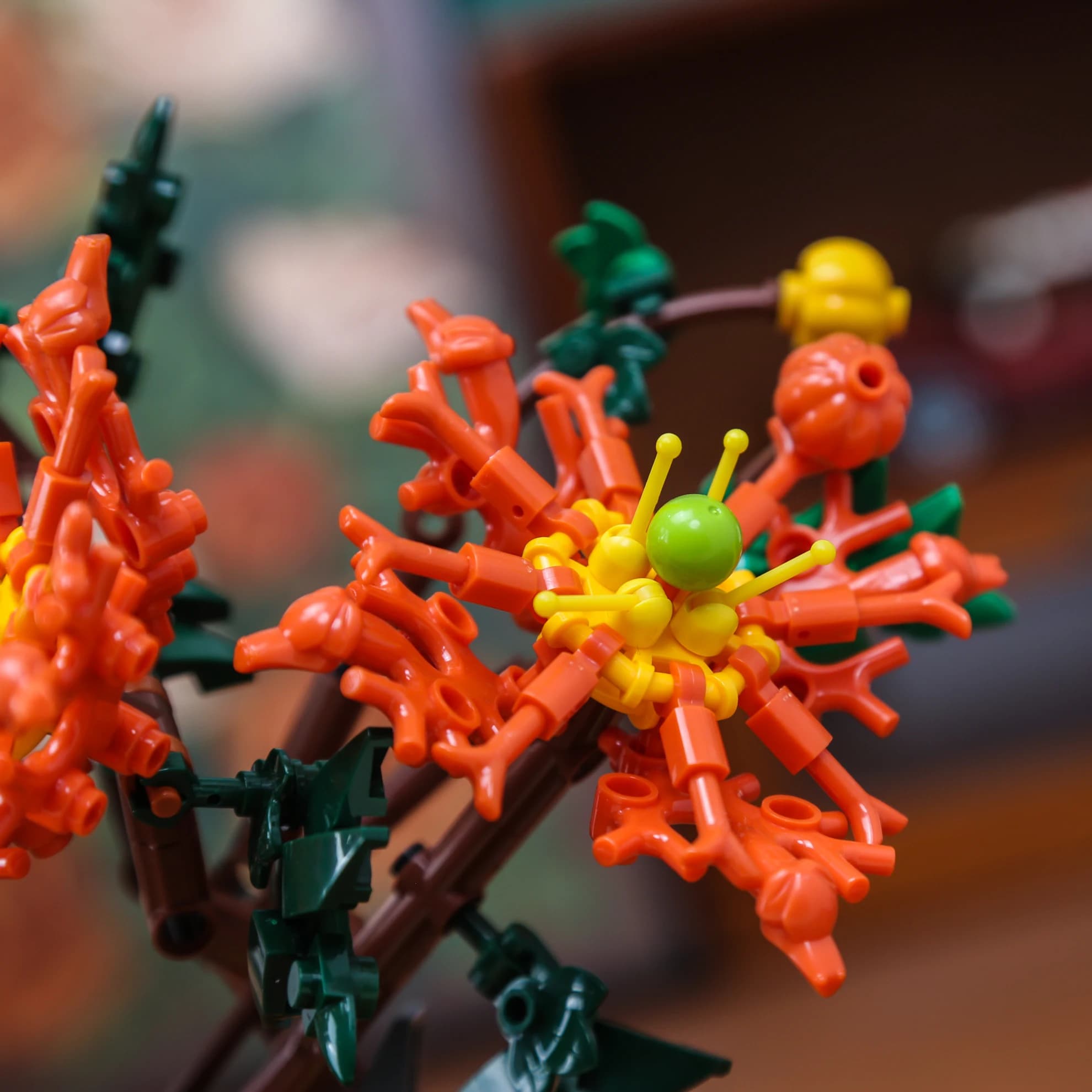 Detalhe das flores laranja do bonsai crisântemo de montar com folhas verdes e base preta