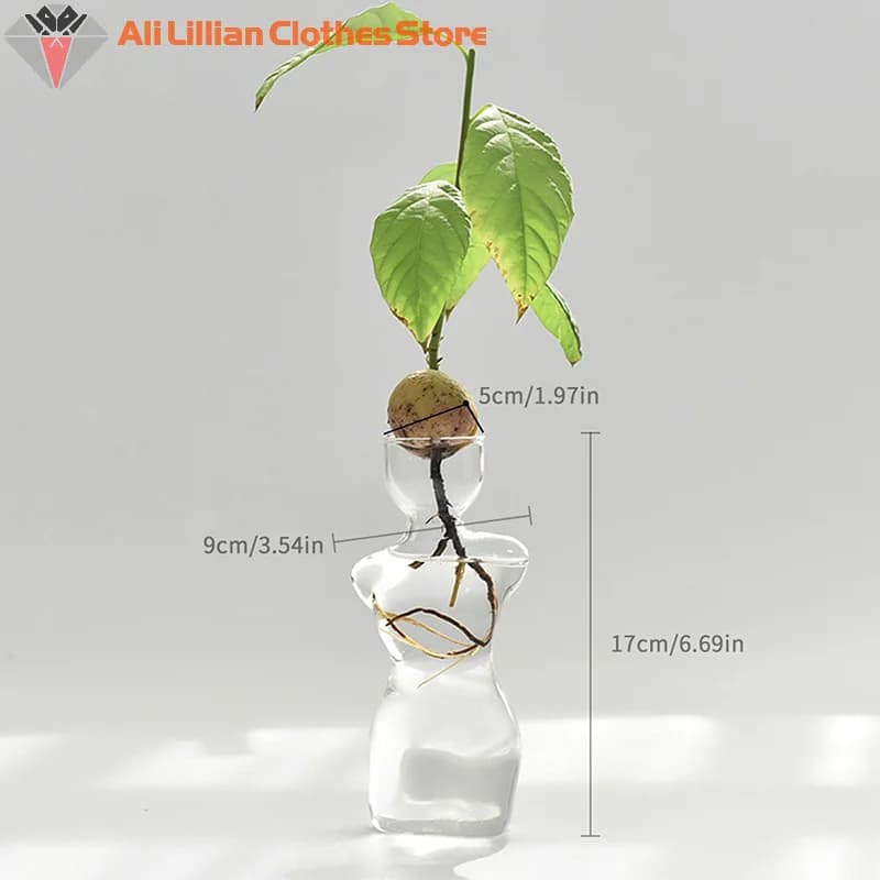 Vaso decorativo transparente para cultivo de sementes com medidas 17cm altura e 9cm largura para germinação de abacate