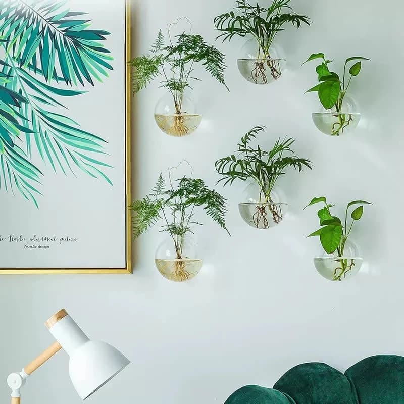 Terrários de vidro transparente com plantas verdes para decoração de parede