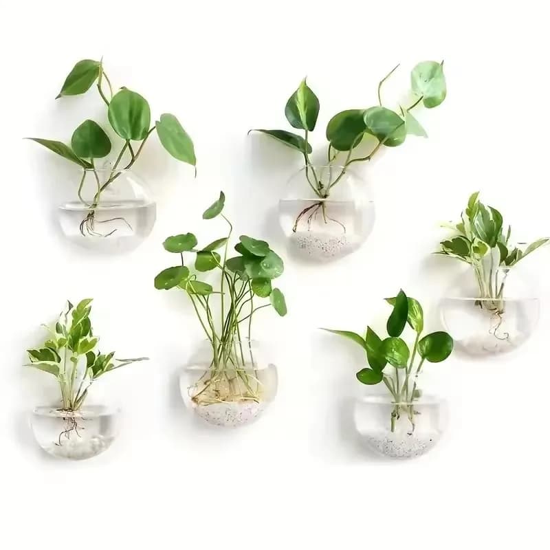 Quatro terrários de vidro com plantas verdes suspensos na parede