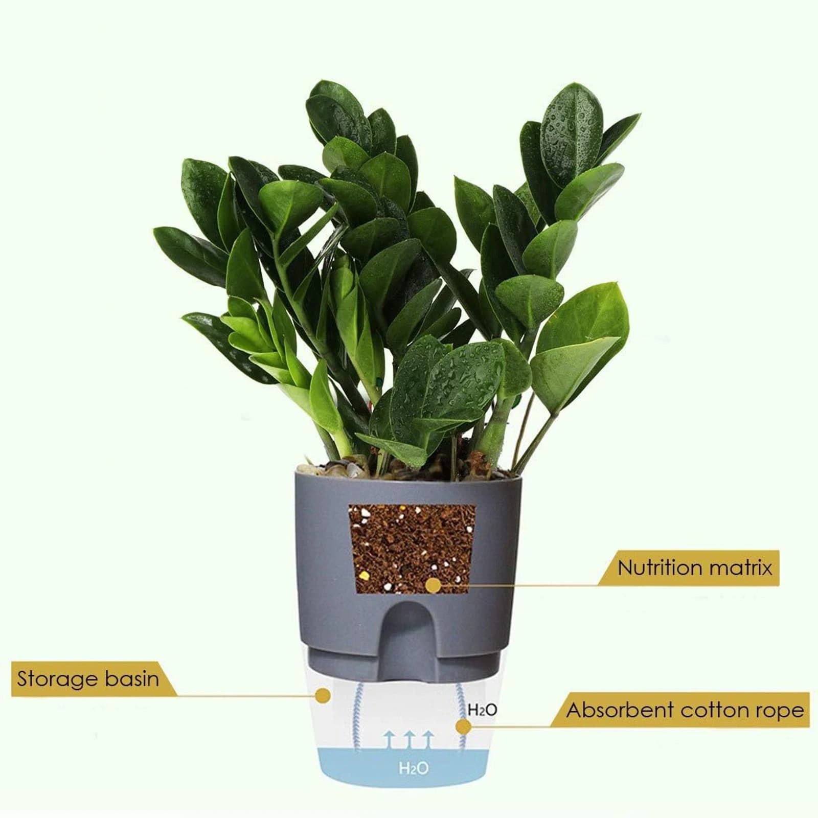 Vaso de flores de plástico transparente, camada dupla, rega automática, corda de algodão, rega pequena, vaso de plantas com porta de injeção