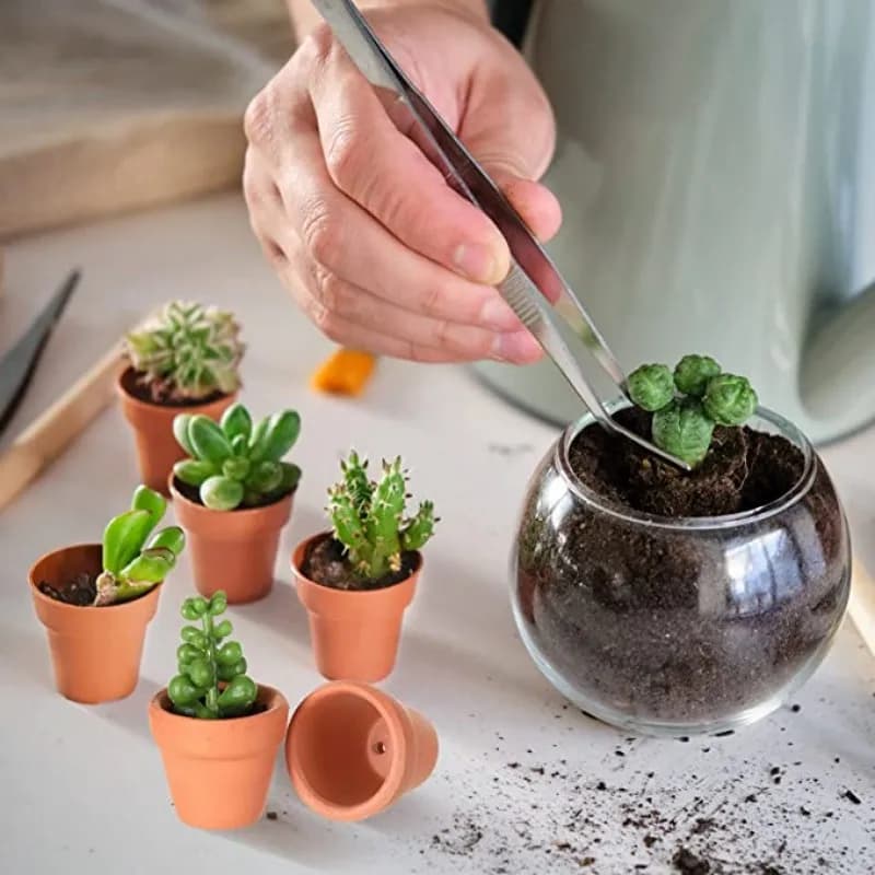 Mini vasos terracota usados para plantio de suculentas e cactos em ambiente interno