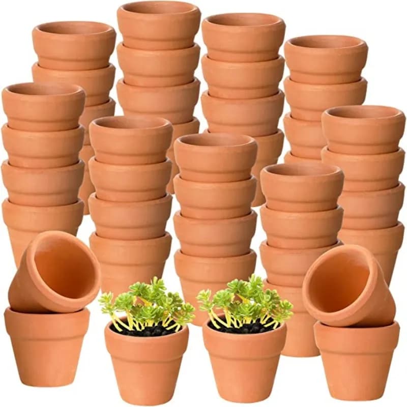 Pequenos potes de cerâmica de terracota com plantas verdes