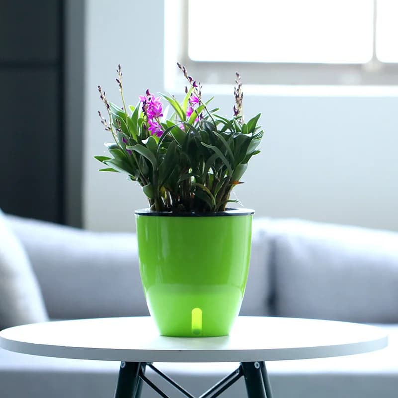 Vaso de flores verde com rega automática e nível de água visível em mesa branca
