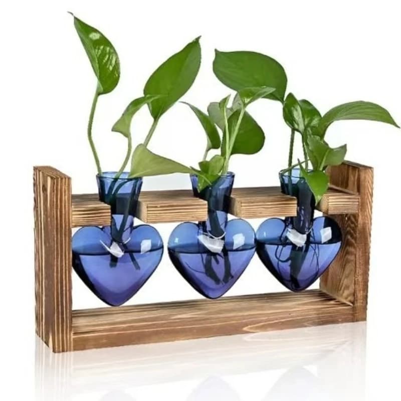 Trê vasos de vidro em forma de coração azul com plantas verdes em suporte de madeira