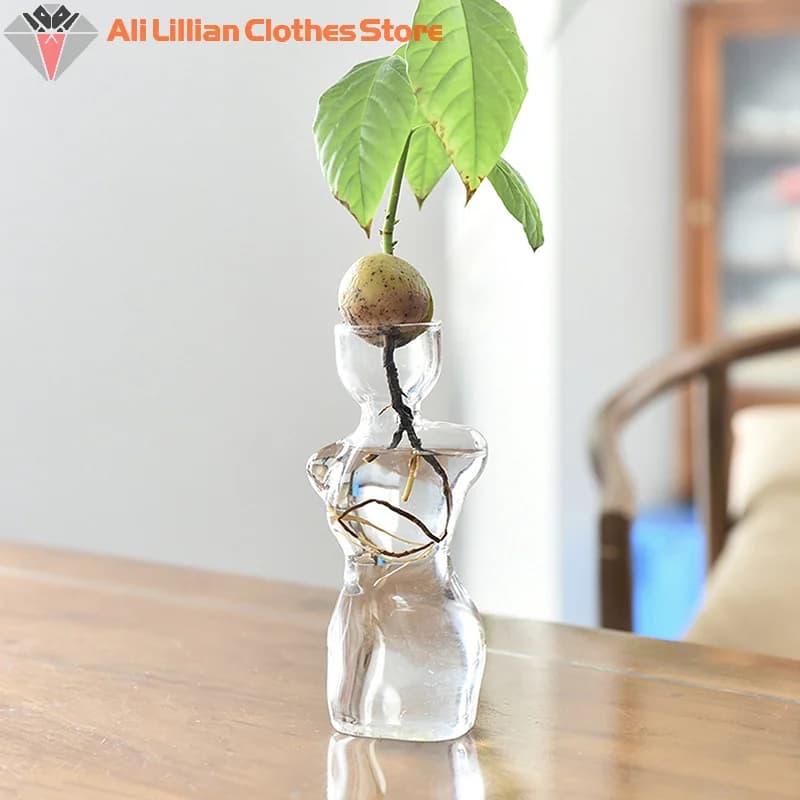 Vaso de vidro transparente em formato de corpo humano para germinação de sementes de abacate com planta verde