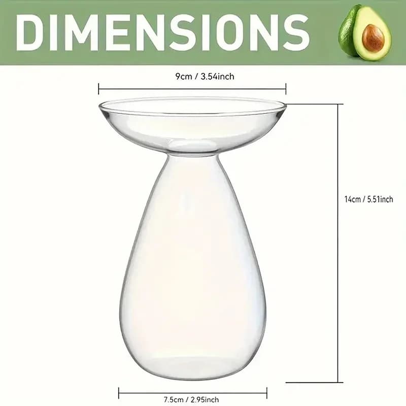 Dimensões do vaso decorativo de vidro transparente formato abacate para plantio hidropônico