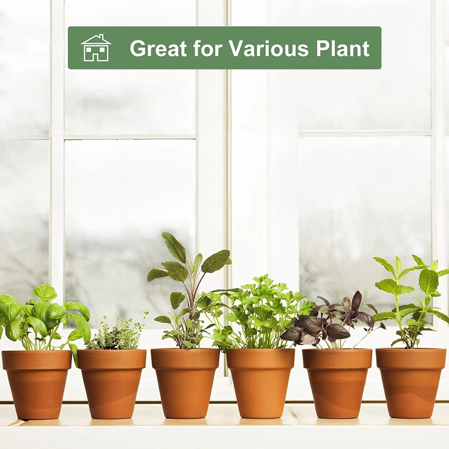 Vasos mini terracota para ervas e plantas diversas em janela luz natural kit 36 peças
