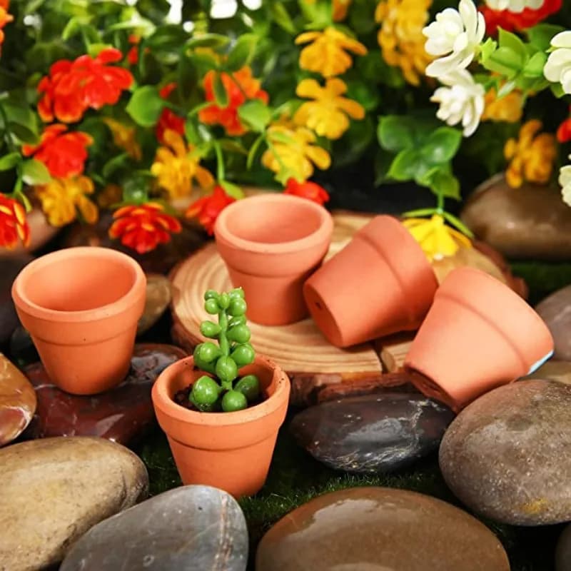 Vasos de planta mini viveiro terracota com furos de drenagem, pequenos e ideais para suculentas