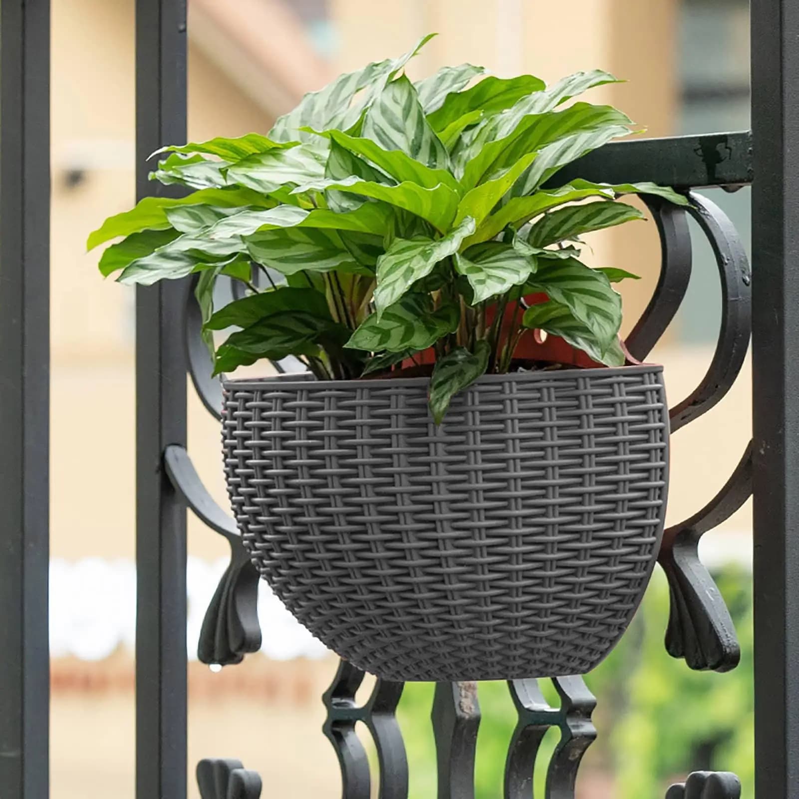 Vaso de flores montado na parede imitando rattan cinza com planta verde