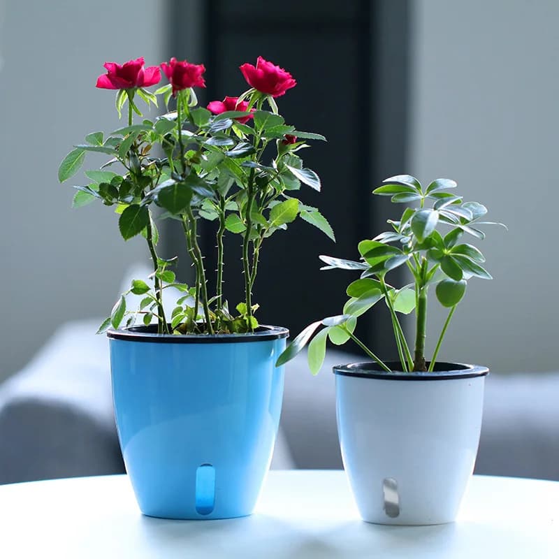 Kit vasos de flores azul e branco com rega automática e nível de água visível