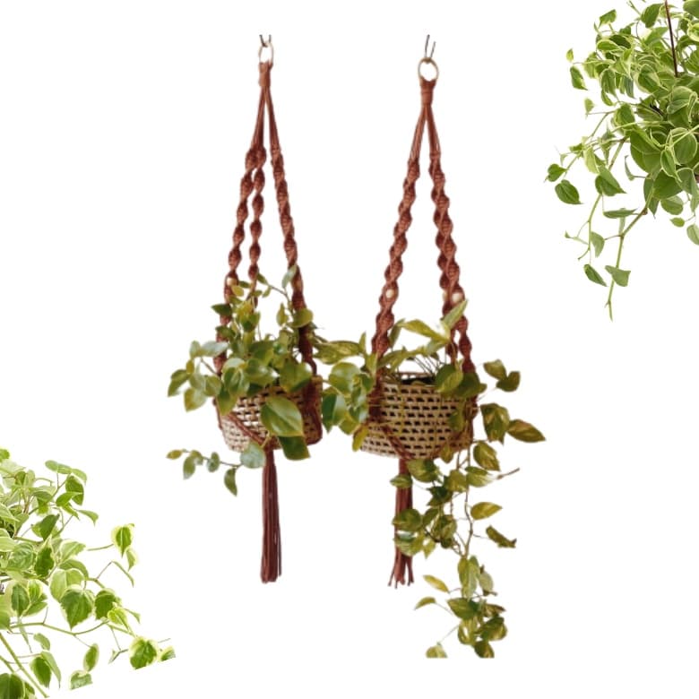 Suporte de macramê para plantas com cestos de vime e plantas suspensas