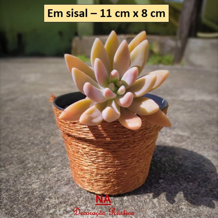 20 vaso (nº2) vasinho cachepô cachepot flores plantas pequeno sisal 11 cm x 8 cm