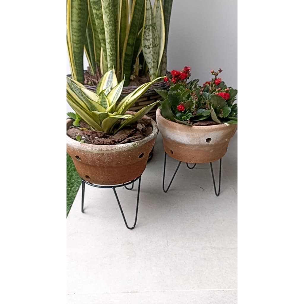 Suportes para vasos de plantas com plantas verdes e vermelhas, fundo cinza