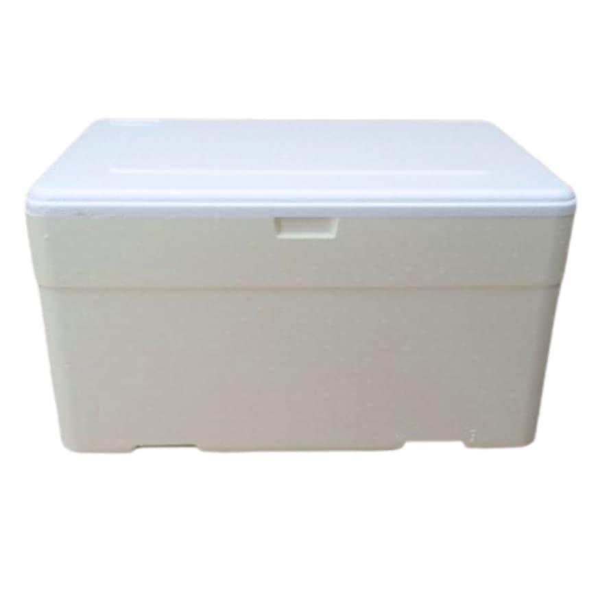 Caixa Térmica Grande Isopor 60 Litros com Dreno para Refrigerante e Alimentos