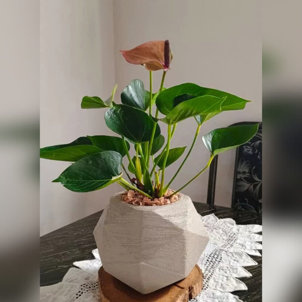 Vaso decorativo geométrico cinza claro com planta verde e flor marrom