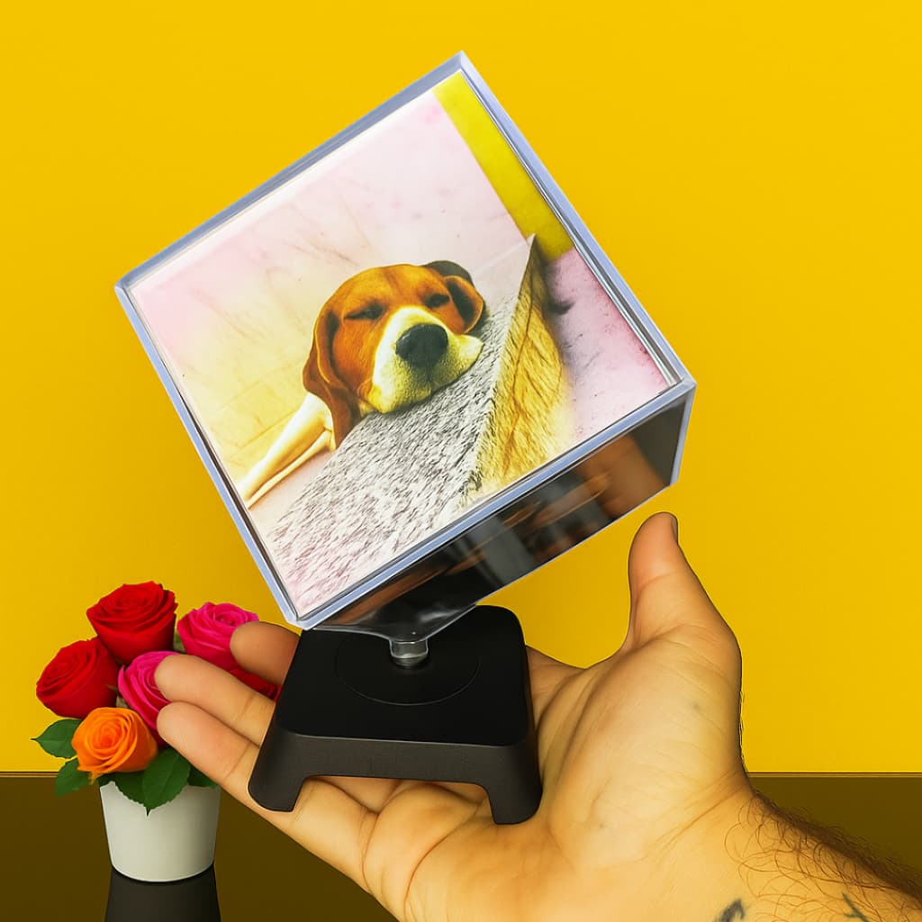 Porta retrato cubo giratório com foto de cão marrom e branco, segurado por uma mão.