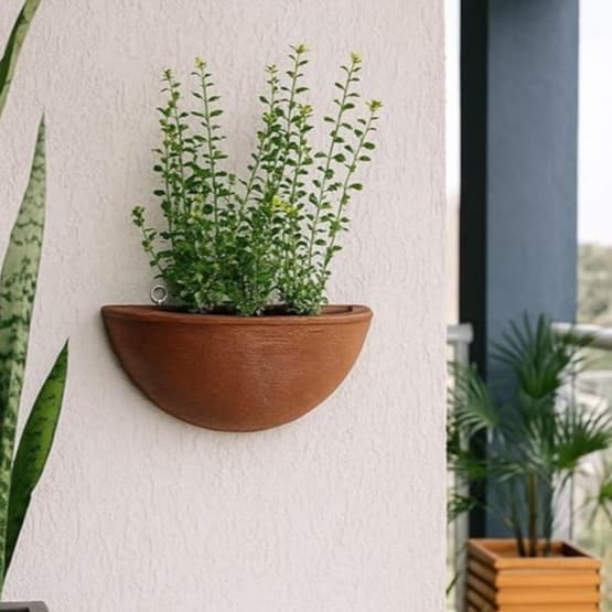 Vaso de parede meia lua em polietileno para plantas, cor marrom, com planta verde.
