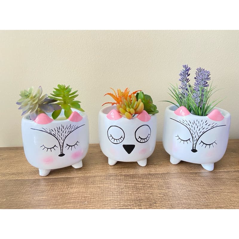 Trio de vasos decorativos gato, coruja e cachorro com plantas suculentas