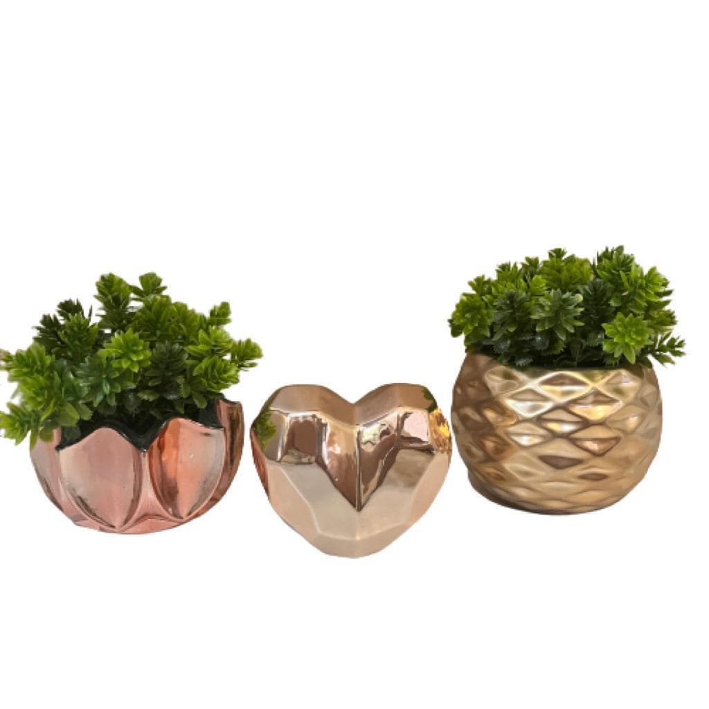 Trio decorativo vasos de vidro, vaso trabalhado e coração cerâmica decor com plantas verdes