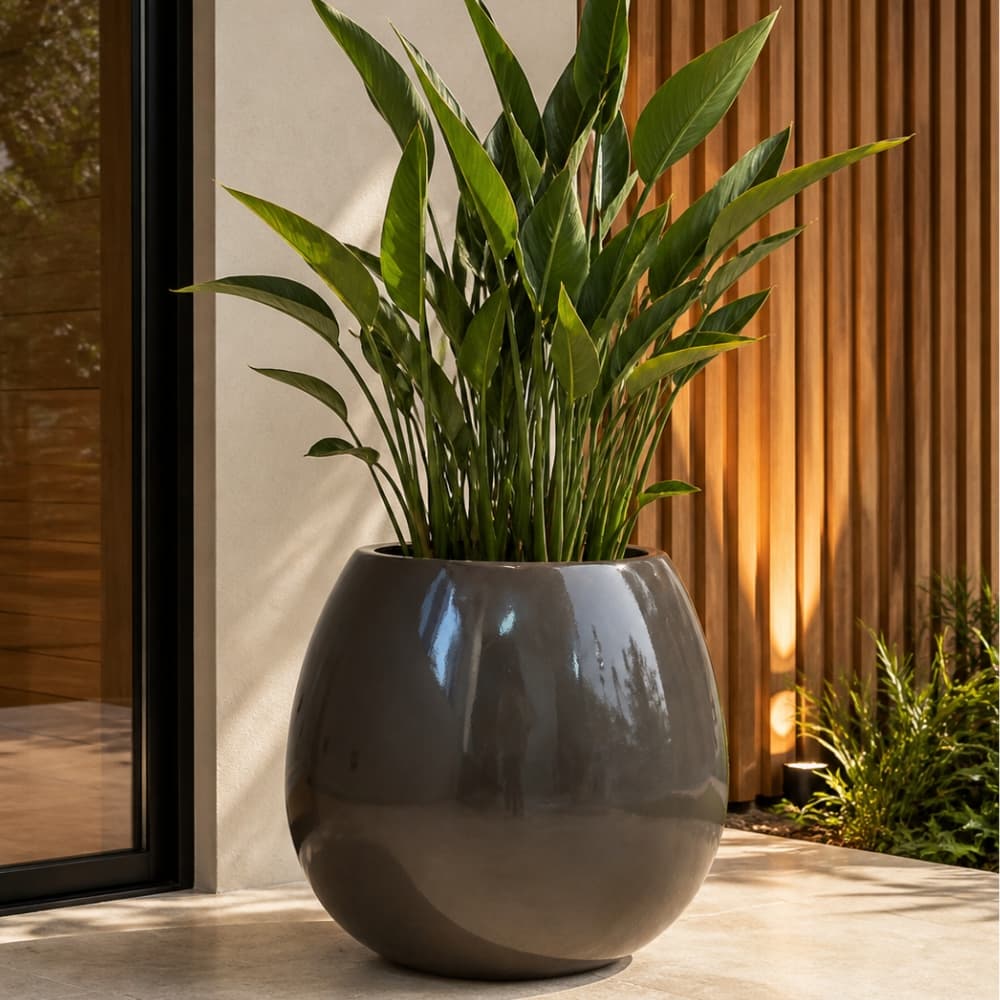 Vaso vitrificado de fibra de vidro estilo vietnamita cinza com planta verde