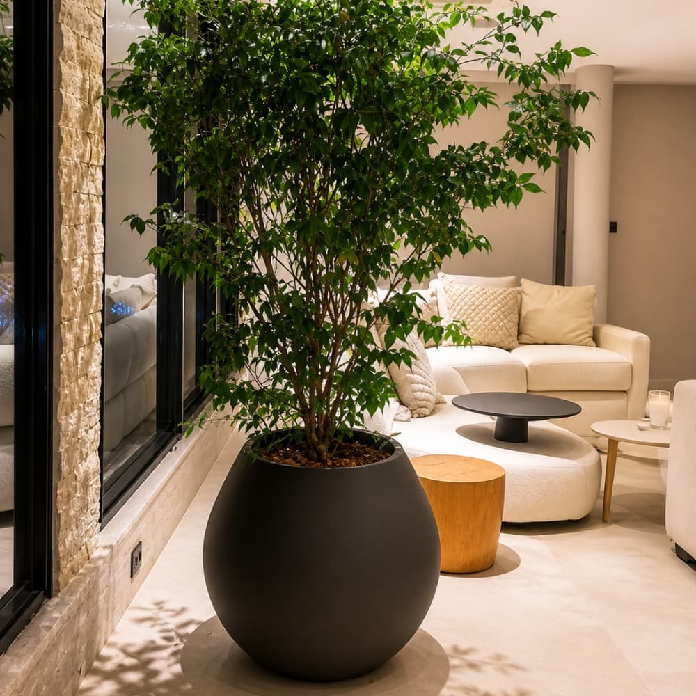 Vaso de fibra de vidro cinza estilo vietnamita com planta verde, 50 cm